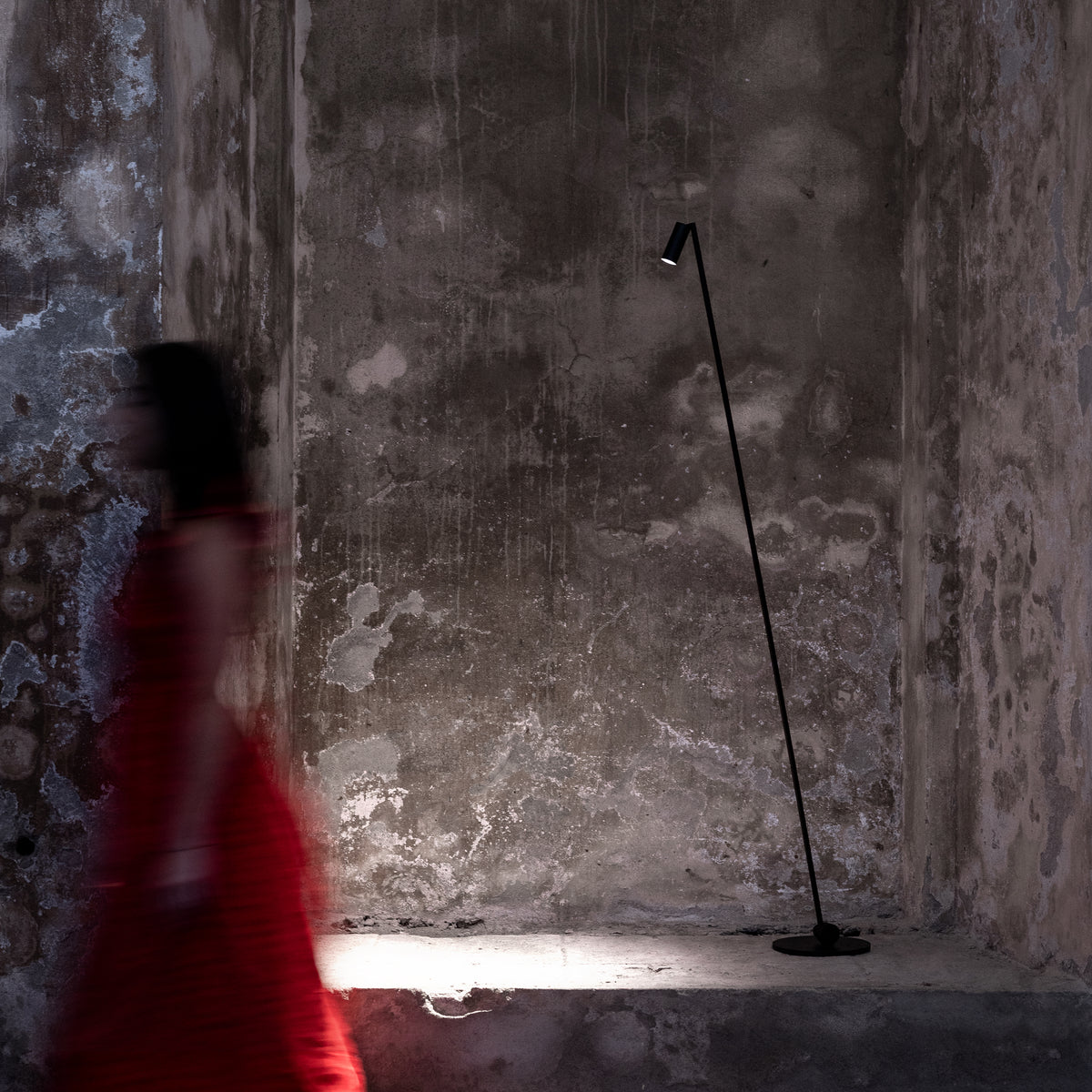 Mia Davide Groppi