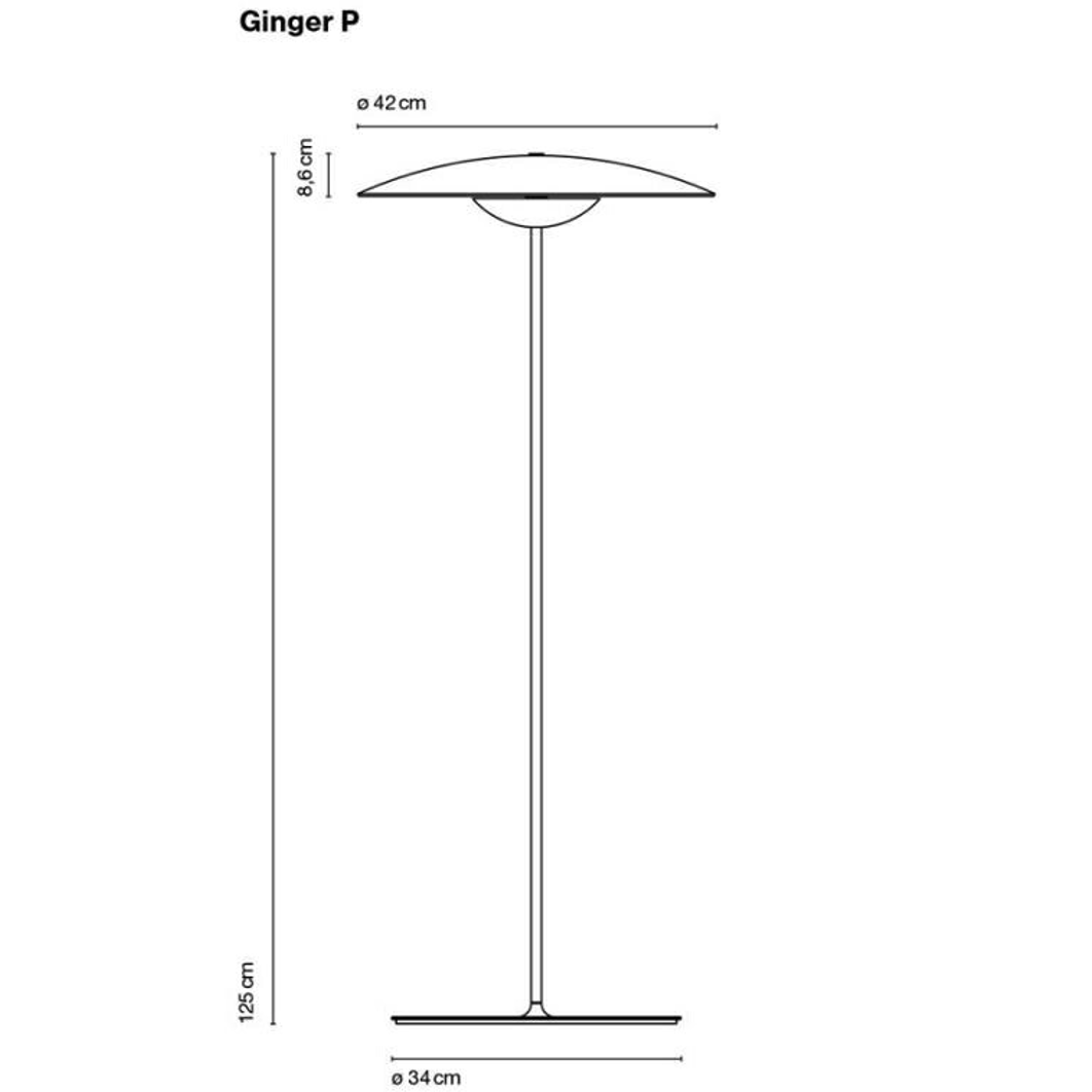 GINGER P Marset