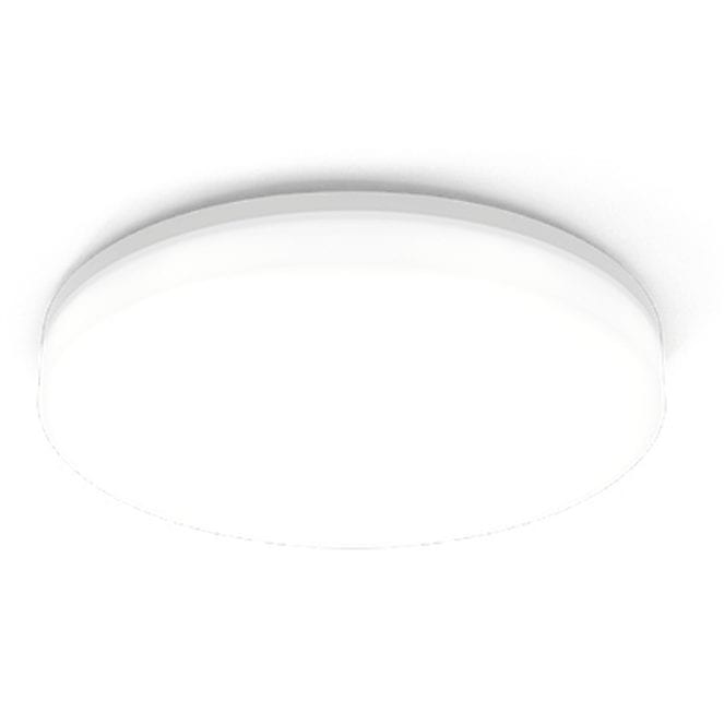 rob-3-5-plafon-techo-weverducre